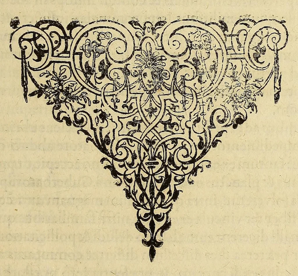An illustration from Americae pars quinta., 1617, leaf 49