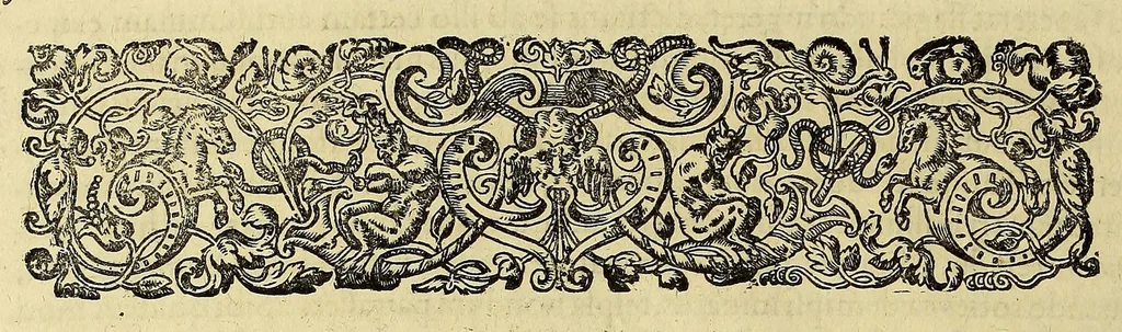 An illustration from Americae pars quinta., 1617, leaf 50