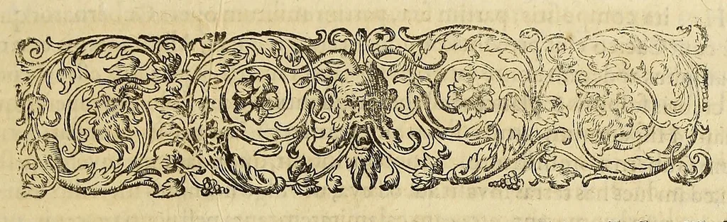 An illustration from Americae pars quinta., 1617, leaf 61