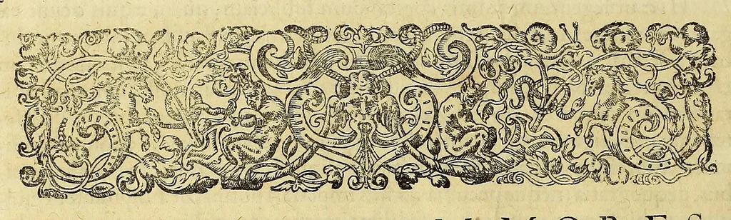 An illustration from Americae pars quinta., 1617, leaf 64