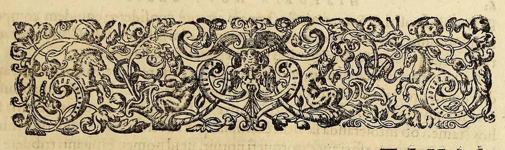 An illustration from Americae pars quinta., 1617, leaf 73