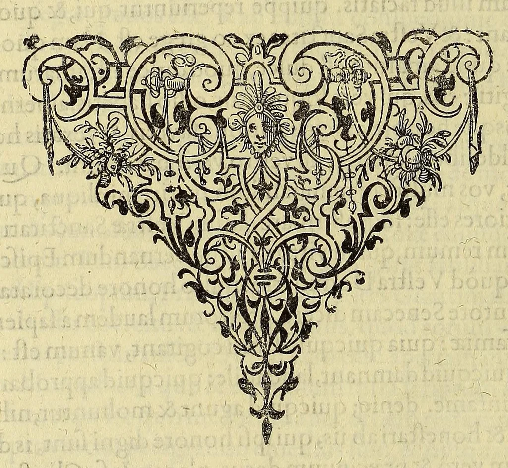 An illustration from Americae pars quinta., 1617, leaf 82