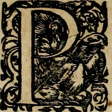 An illustration from Americae pars qvarta, siue, Insignis & admiranda historia de reperta primùm Occidentali India à Christophoro Columbo anno M. CCCCXCII, 1594, leaf 117