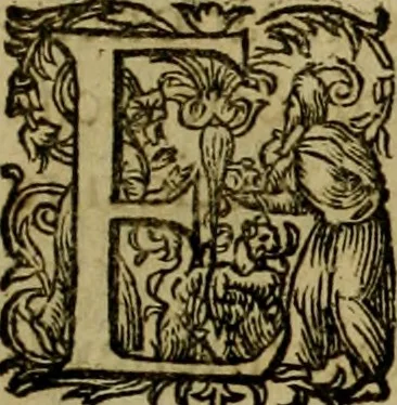 An illustration from Americae pars qvarta, siue, Insignis & admiranda historia de reperta primùm Occidentali India à Christophoro Columbo anno M. CCCCXCII, 1594, leaf 124