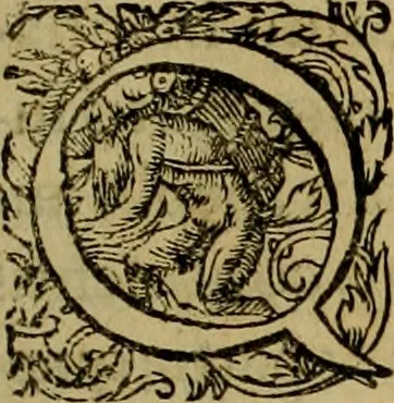 An illustration from Americae pars qvarta, siue, Insignis & admiranda historia de reperta primùm Occidentali India à Christophoro Columbo anno M. CCCCXCII, 1594, leaf 128