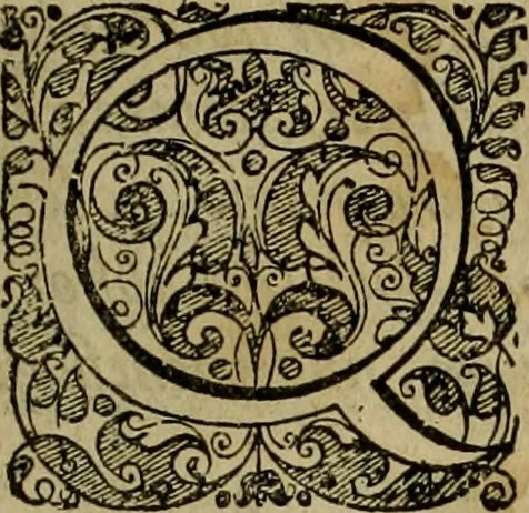 An illustration from Americae pars qvarta, siue, Insignis & admiranda historia de reperta primùm Occidentali India à Christophoro Columbo anno M. CCCCXCII, 1594, leaf 14