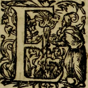 An illustration from Americae pars qvarta, siue, Insignis & admiranda historia de reperta primùm Occidentali India à Christophoro Columbo anno M. CCCCXCII, 1594, leaf 146