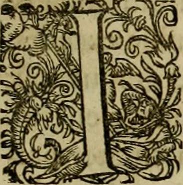 An illustration from Americae pars qvarta, siue, Insignis & admiranda historia de reperta primùm Occidentali India à Christophoro Columbo anno M. CCCCXCII, 1594, leaf 150