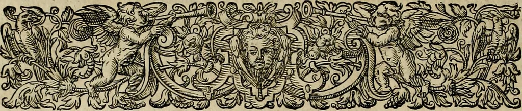 An illustration from Americae pars qvarta, siue, Insignis & admiranda historia de reperta primùm Occidentali India à Christophoro Columbo anno M. CCCCXCII, 1594, leaf 159