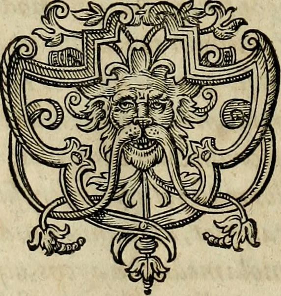 An illustration from Americae pars qvarta, siue, Insignis & admiranda historia de reperta primùm Occidentali India à Christophoro Columbo anno M. CCCCXCII, 1594, leaf 159