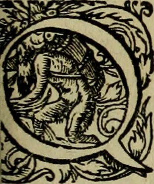 An illustration from Americae pars qvarta, siue, Insignis & admiranda historia de reperta primùm Occidentali India à Christophoro Columbo anno M. CCCCXCII, 1594, leaf 166