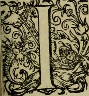 An illustration from Americae pars qvarta, siue, Insignis & admiranda historia de reperta primùm Occidentali India à Christophoro Columbo anno M. CCCCXCII, 1594, leaf 170