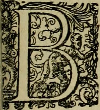 An illustration from Americae pars qvarta, siue, Insignis & admiranda historia de reperta primùm Occidentali India à Christophoro Columbo anno M. CCCCXCII, 1594, leaf 172