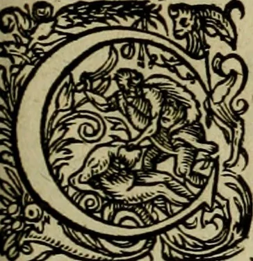 An illustration from Americae pars qvarta, siue, Insignis & admiranda historia de reperta primùm Occidentali India à Christophoro Columbo anno M. CCCCXCII, 1594, leaf 174