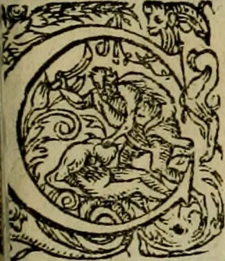 An illustration from Americae pars qvarta, siue, Insignis & admiranda historia de reperta primùm Occidentali India à Christophoro Columbo anno M. CCCCXCII, 1594, leaf 178