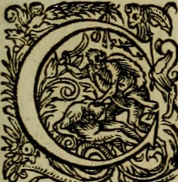 An illustration from Americae pars qvarta, siue, Insignis & admiranda historia de reperta primùm Occidentali India à Christophoro Columbo anno M. CCCCXCII, 1594, leaf 182