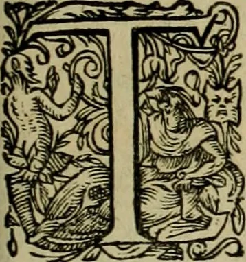An illustration from Americae pars qvarta, siue, Insignis & admiranda historia de reperta primùm Occidentali India à Christophoro Columbo anno M. CCCCXCII, 1594, leaf 186