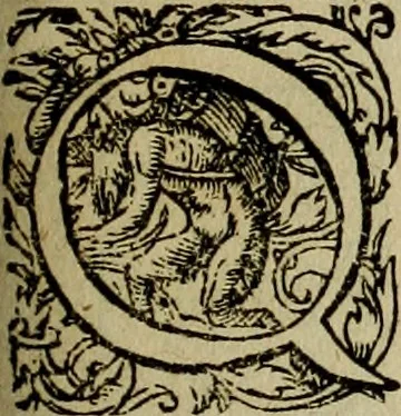 An illustration from Americae pars qvarta, siue, Insignis & admiranda historia de reperta primùm Occidentali India à Christophoro Columbo anno M. CCCCXCII, 1594, leaf 190