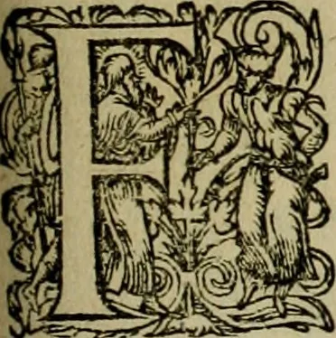 An illustration from Americae pars qvarta, siue, Insignis & admiranda historia de reperta primùm Occidentali India à Christophoro Columbo anno M. CCCCXCII, 1594, leaf 192