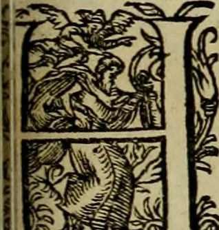 An illustration from Americae pars qvarta, siue, Insignis & admiranda historia de reperta primùm Occidentali India à Christophoro Columbo anno M. CCCCXCII, 1594, leaf 198