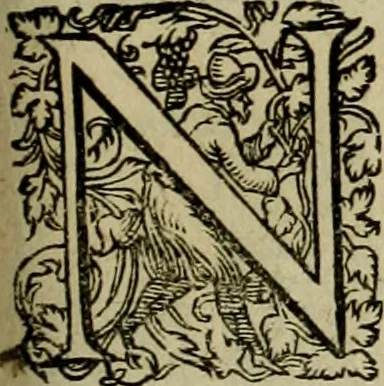 An illustration from Americae pars qvarta, siue, Insignis & admiranda historia de reperta primùm Occidentali India à Christophoro Columbo anno M. CCCCXCII, 1594, leaf 200