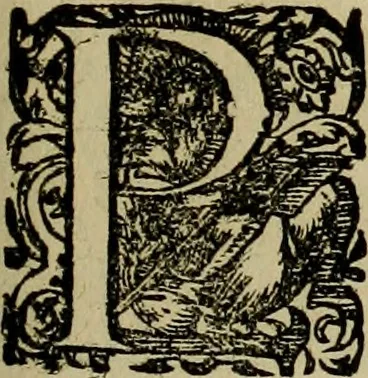 An illustration from Americae pars qvarta, siue, Insignis & admiranda historia de reperta primùm Occidentali India à Christophoro Columbo anno M. CCCCXCII, 1594, leaf 204