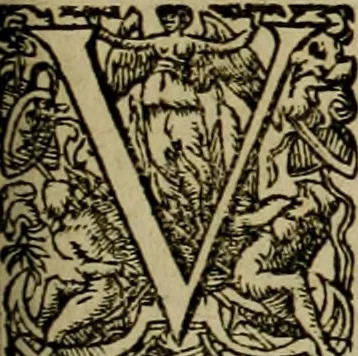 An illustration from Americae pars qvarta, siue, Insignis & admiranda historia de reperta primùm Occidentali India à Christophoro Columbo anno M. CCCCXCII, 1594, leaf 206