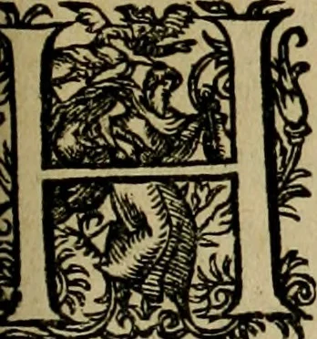 An illustration from Americae pars qvarta, siue, Insignis & admiranda historia de reperta primùm Occidentali India à Christophoro Columbo anno M. CCCCXCII, 1594, leaf 208