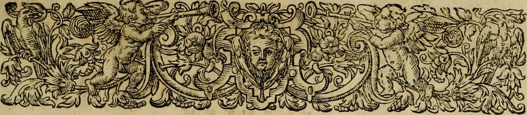 An illustration from Americae pars qvarta, siue, Insignis & admiranda historia de reperta primùm Occidentali India à Christophoro Columbo anno M. CCCCXCII, 1594, leaf 22