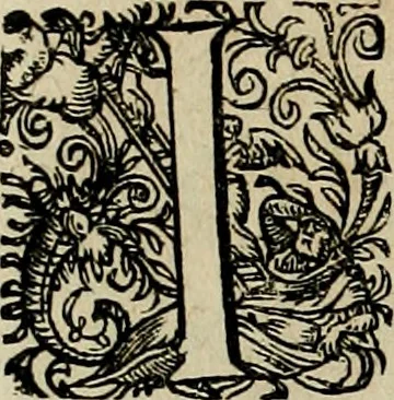 An illustration from Americae pars qvarta, siue, Insignis & admiranda historia de reperta primùm Occidentali India à Christophoro Columbo anno M. CCCCXCII, 1594, leaf 23