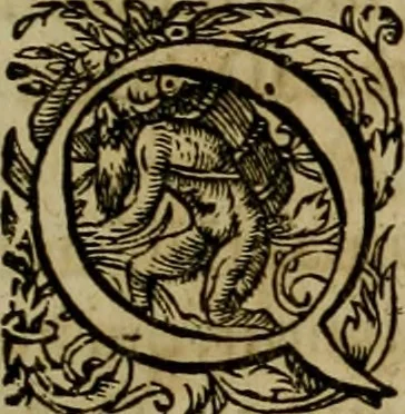 An illustration from Americae pars qvarta, siue, Insignis & admiranda historia de reperta primùm Occidentali India à Christophoro Columbo anno M. CCCCXCII, 1594, leaf 24