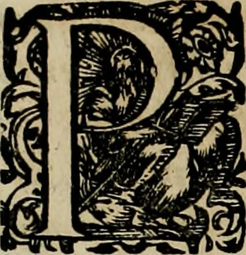 An illustration from Americae pars qvarta, siue, Insignis & admiranda historia de reperta primùm Occidentali India à Christophoro Columbo anno M. CCCCXCII, 1594, leaf 27