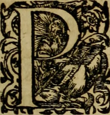 An illustration from Americae pars qvarta, siue, Insignis & admiranda historia de reperta primùm Occidentali India à Christophoro Columbo anno M. CCCCXCII, 1594, leaf 30