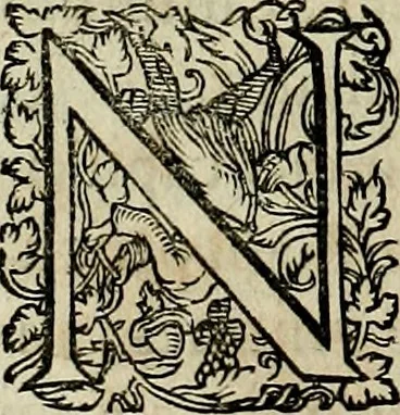 An illustration from Americae pars qvarta, siue, Insignis & admiranda historia de reperta primùm Occidentali India à Christophoro Columbo anno M. CCCCXCII, 1594, leaf 33