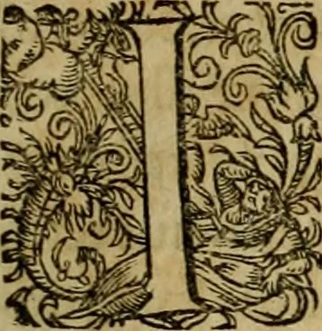 An illustration from Americae pars qvarta, siue, Insignis & admiranda historia de reperta primùm Occidentali India à Christophoro Columbo anno M. CCCCXCII, 1594, leaf 36