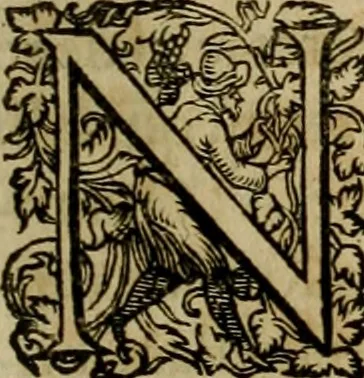 An illustration from Americae pars qvarta, siue, Insignis & admiranda historia de reperta primùm Occidentali India à Christophoro Columbo anno M. CCCCXCII, 1594, leaf 42