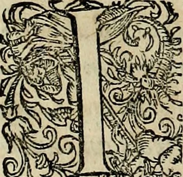 An illustration from Americae pars qvarta, siue, Insignis & admiranda historia de reperta primùm Occidentali India à Christophoro Columbo anno M. CCCCXCII, 1594, leaf 45