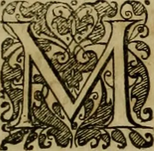 An illustration from Americae pars qvarta, siue, Insignis & admiranda historia de reperta primùm Occidentali India à Christophoro Columbo anno M. CCCCXCII, 1594, leaf 48