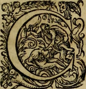 An illustration from Americae pars qvarta, siue, Insignis & admiranda historia de reperta primùm Occidentali India à Christophoro Columbo anno M. CCCCXCII, 1594, leaf 50