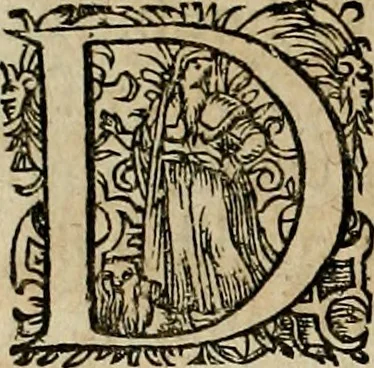 An illustration from Americae pars qvarta, siue, Insignis & admiranda historia de reperta primùm Occidentali India à Christophoro Columbo anno M. CCCCXCII, 1594, leaf 57