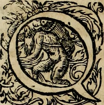 An illustration from Americae pars qvarta, siue, Insignis & admiranda historia de reperta primùm Occidentali India à Christophoro Columbo anno M. CCCCXCII, 1594, leaf 65