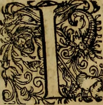 An illustration from Americae pars qvarta, siue, Insignis & admiranda historia de reperta primùm Occidentali India à Christophoro Columbo anno M. CCCCXCII, 1594, leaf 70