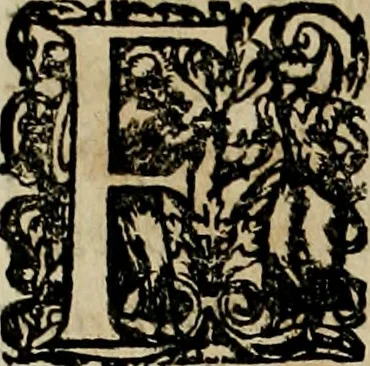 An illustration from Americae pars qvarta, siue, Insignis & admiranda historia de reperta primùm Occidentali India à Christophoro Columbo anno M. CCCCXCII, 1594, leaf 85