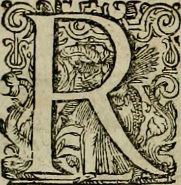 An illustration from Americae pars qvarta, siue, Insignis & admiranda historia de reperta primùm Occidentali India à Christophoro Columbo anno M. CCCCXCII, 1594, leaf 9