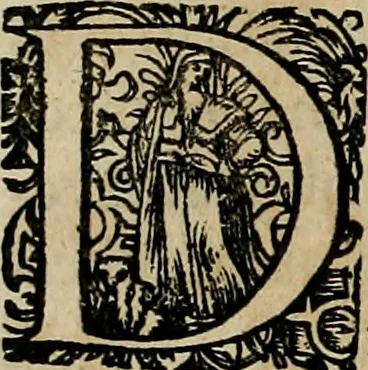 An illustration from Americae pars qvarta, siue, Insignis & admiranda historia de reperta primùm Occidentali India à Christophoro Columbo anno M. CCCCXCII, 1594, leaf 93