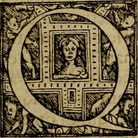 An illustration from Americae pars qvinta Nobilis & admiratione plena Hieronymi Bezoni Mediolanensis, secundae sectionis hiã. Hispanorum : tùm in Nigrittas seruos suos, tùm in Indos crudelitatem, Gallorumq pirataru de Hispanis toties reportata spolia : aduentu item Hispanoru in Nouam Indiæ continentis Hispaniam, eorumq contra incolas eius regionis sæuitiam explicans addita ad singula fere capita scholia, in quibus res Indiæ luculenter exponuntur : accessit præterea tabula chorographica nouæ Hispaniæ in India Occidentalj : ad invictis Rvdolph II ... omnia elegantibus figuris in aes incisis expressa, 1595, leaf 12