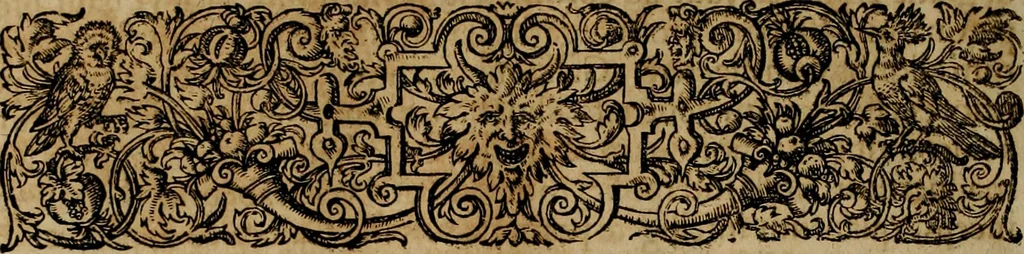 An illustration from Americae pars qvinta Nobilis & admiratione plena Hieronymi Bezoni Mediolanensis, secundae sectionis hiã. Hispanorum : tùm in Nigrittas seruos suos, tùm in Indos crudelitatem, Gallorumq pirataru de Hispanis toties reportata spolia : aduentu item Hispanoru in Nouam Indiæ continentis Hispaniam, eorumq contra incolas eius regionis sæuitiam explicans addita ad singula fere capita scholia, in quibus res Indiæ luculenter exponuntur : accessit præterea tabula chorographica nouæ Hispaniæ in India Occidentalj : ad invictis Rvdolph II ... omnia elegantibus figuris in aes incisis expressa, 1595, leaf 23