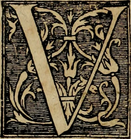 An illustration from Americae pars qvinta Nobilis & admiratione plena Hieronymi Bezoni Mediolanensis, secundae sectionis hiã. Hispanorum : tùm in Nigrittas seruos suos, tùm in Indos crudelitatem, Gallorumq pirataru de Hispanis toties reportata spolia : aduentu item Hispanoru in Nouam Indiæ continentis Hispaniam, eorumq contra incolas eius regionis sæuitiam explicans addita ad singula fere capita scholia, in quibus res Indiæ luculenter exponuntur : accessit præterea tabula chorographica nouæ Hispaniæ in India Occidentalj : ad invictis Rvdolph II ... omnia elegantibus figuris in aes incisis expressa, 1595, leaf 23