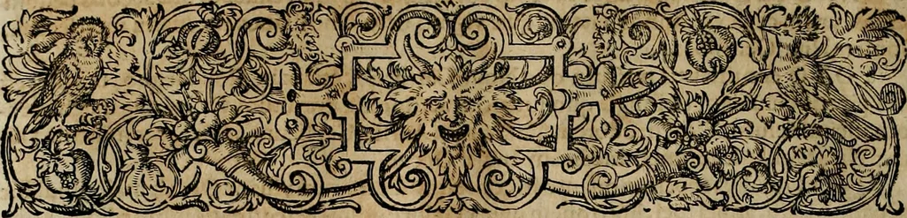 An illustration from Americae pars qvinta Nobilis & admiratione plena Hieronymi Bezoni Mediolanensis, secundae sectionis hiã. Hispanorum : tùm in Nigrittas seruos suos, tùm in Indos crudelitatem, Gallorumq pirataru de Hispanis toties reportata spolia : aduentu item Hispanoru in Nouam Indiæ continentis Hispaniam, eorumq contra incolas eius regionis sæuitiam explicans addita ad singula fere capita scholia, in quibus res Indiæ luculenter exponuntur : accessit præterea tabula chorographica nouæ Hispaniæ in India Occidentalj : ad invictis Rvdolph II ... omnia elegantibus figuris in aes incisis expressa, 1595, leaf 27