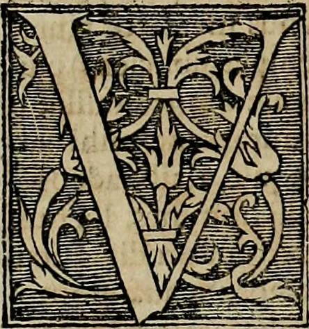 An illustration from Americae pars qvinta Nobilis & admiratione plena Hieronymi Bezoni Mediolanensis, secundae sectionis hiã. Hispanorum : tùm in Nigrittas seruos suos, tùm in Indos crudelitatem, Gallorumq pirataru de Hispanis toties reportata spolia : aduentu item Hispanoru in Nouam Indiæ continentis Hispaniam, eorumq contra incolas eius regionis sæuitiam explicans addita ad singula fere capita scholia, in quibus res Indiæ luculenter exponuntur : accessit præterea tabula chorographica nouæ Hispaniæ in India Occidentalj : ad invictis Rvdolph II ... omnia elegantibus figuris in aes incisis expressa, 1595, leaf 27